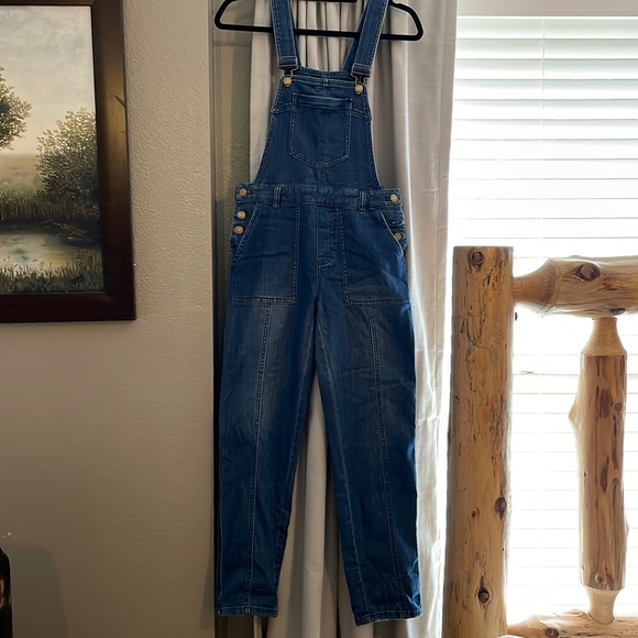 Pilcro Pants - PIlcro Denim overalls